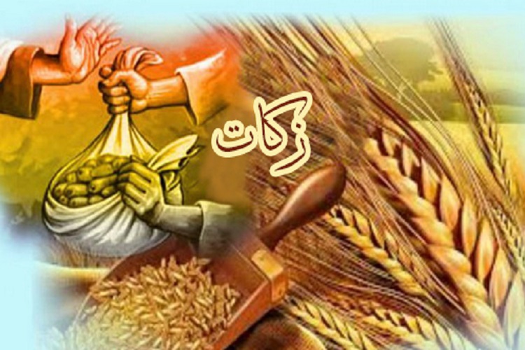 رشد ۲۶ درصدی پرداخت زکات در ابهر رشد ۲۶ درصدی پرداخت زکات در ابهر