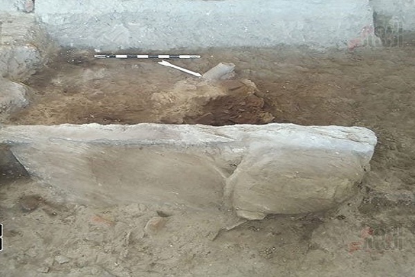 انتشار اولین تصاویر از کشف مجسمه ابوالهول