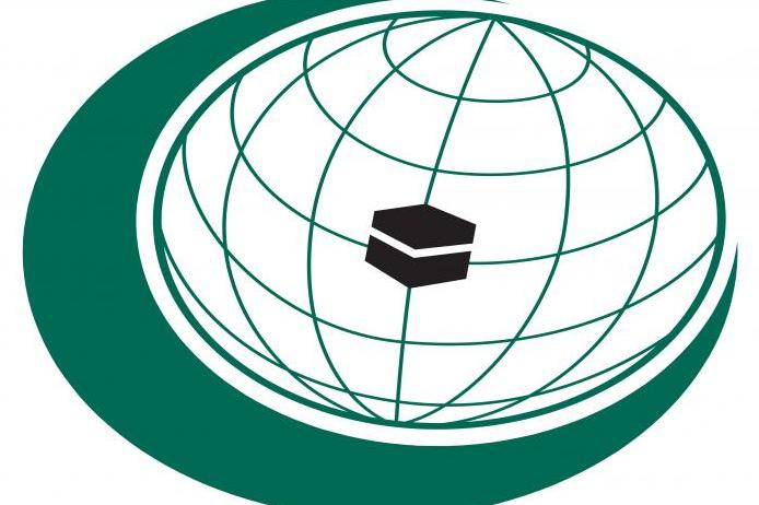 المؤتمر الإسلامي الثامن لوزراء التعليم يعقد أعماله في مالي