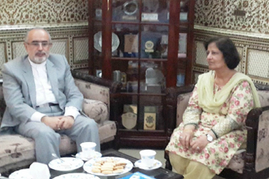 تنظیم ندوة 