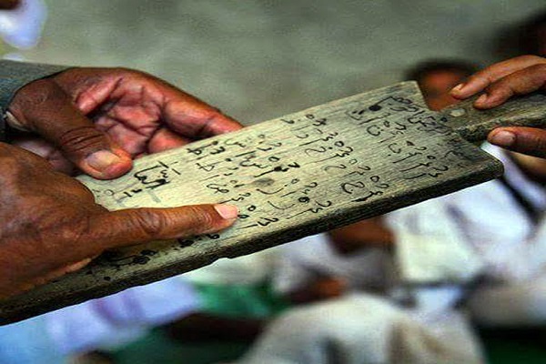 مصر: كتابة  آيات القرآن على لوحات الأشجار + صور