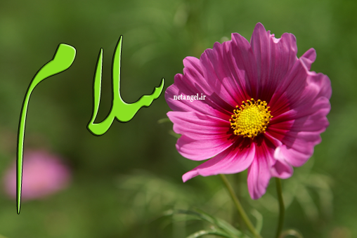 التلفويون الفلبيني يبثّ فيلماً وثائقیاً حول الاسلام والمسلمين