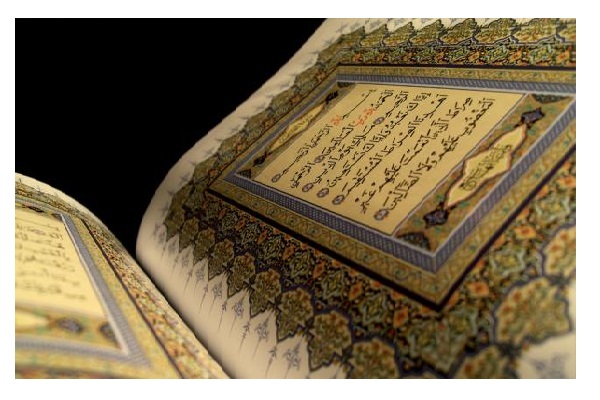 تنظیم دورة 