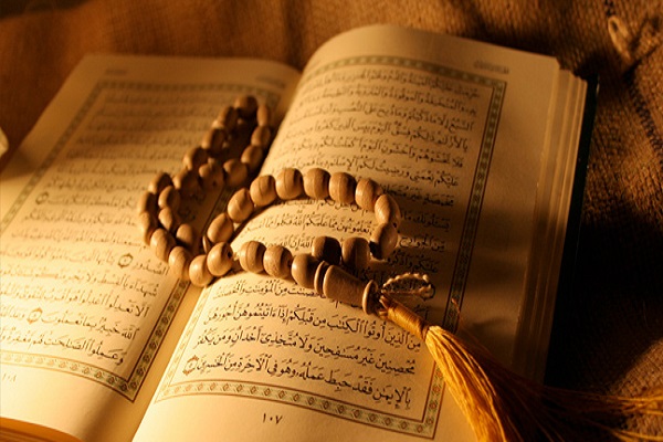 نقابة 