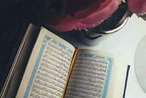 مغردون عن 