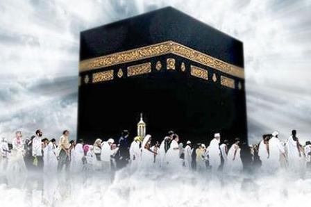 تنظيم ندوة 