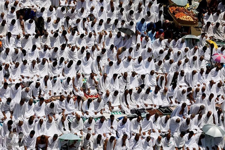 توافد ضيوف الرحمن على صعيد عرفات