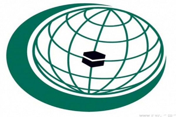 دول منظمة التعاون الإسلامي تؤكد عزمها على التعاون في إنتاج وتوزيع اللقاحات والأدوية دول منظمة التعاون الإسلامي تؤكد عزمها على التعاون في إنتاج وتوزيع اللقاحات والأدوية