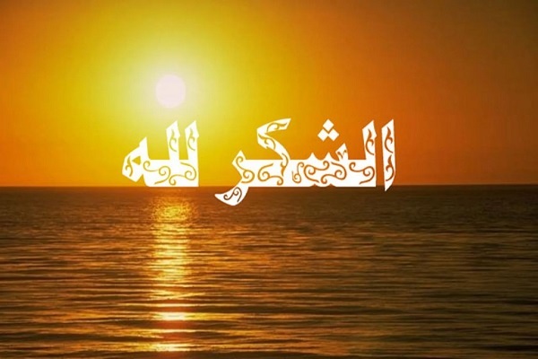 الشكر لله نقيض الكفر / من لا يشكر سوف يكفر