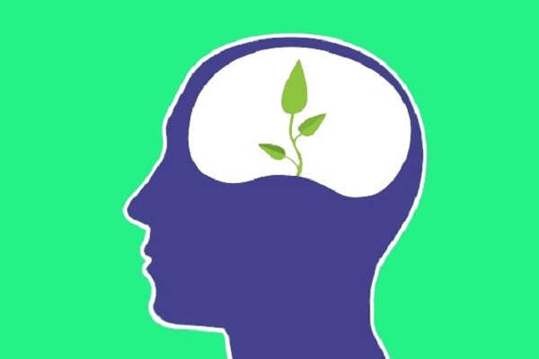 أهمية العقل في التعاليم الإسلامية
