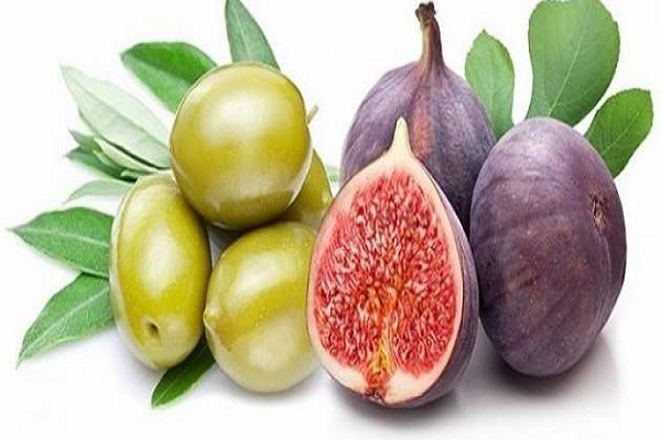 في تفسیر القسم الإلهي بالتین والزیتون