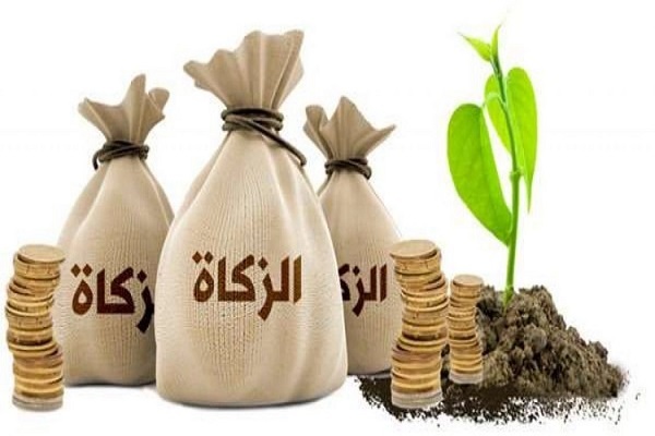 معنى الزكاة في الإسلام
