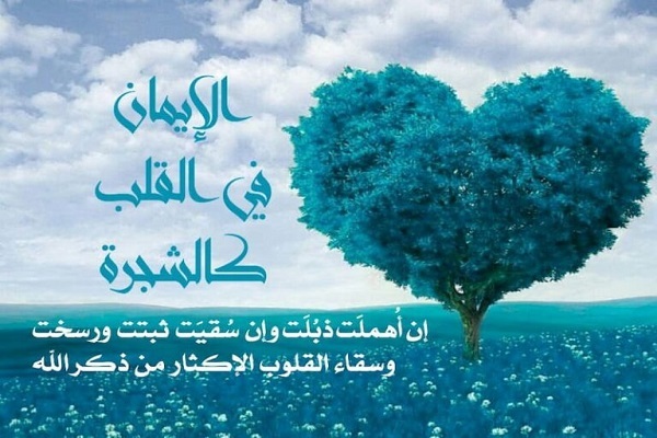 الإيمان؛ طريق نحو النمو