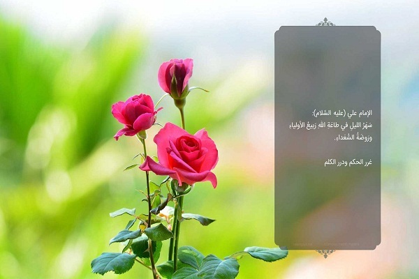 السَّهَر في جَوف الليل لترتيل القرآن إيثار للإنس بالله