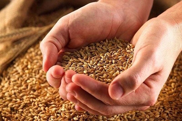 ما الفرق بين الخُمس والزكاة والضريبة؟