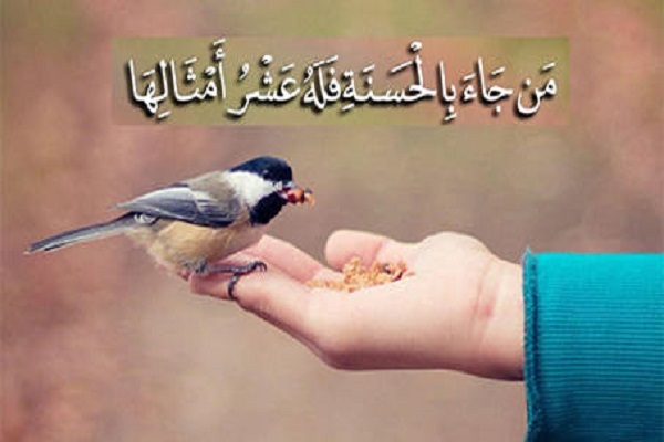 لماذا جزاء الحسنة عشر أمثالها وجزاء السيئة مثلها؟