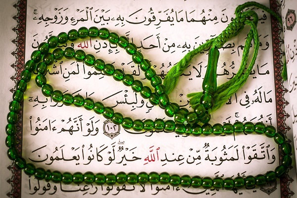 هل يعقل العقاب والثواب السريعان؟