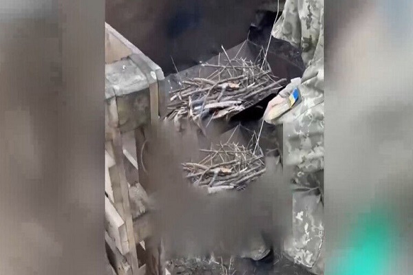  النجباء: لا يجوز للعالم الاسلامي أن يصمت تجاه حرق جنود أوكرانيين للقرآن