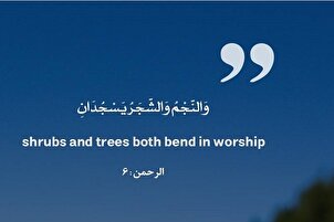 والنجم والشجر يسجدان