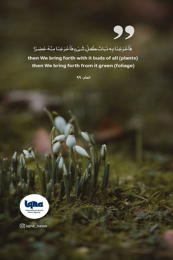 الماء هو سر الحياة ومنبعها
