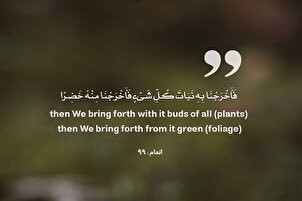 الماء هو سر الحياة ومنبعها