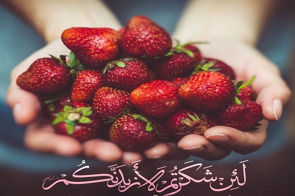 السبب الرئيسي في زيادة الخيرات