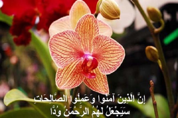 تأثير الشُكر على السلامة النفسية