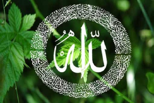 معرفة الله هي من الغايات العُليا في الحياة معرفة الله هي من الغايات العُليا في الحياة