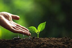 مَنْ زَرَعَ خَيراً حَصَدَ أَجْراً