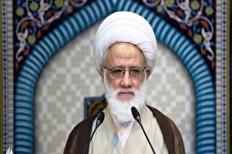 المرجع اليعقوبي: الشباب هم أمل الأمة والمعول عليهم في إعمار الحياة + فيديو