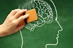 مَنْ جَهِلَ قَلَّ اعْتِبارُهُ