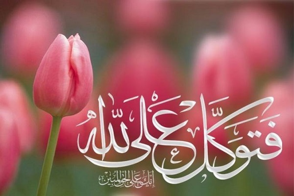 عبرة توكّل الأنبياء (ع) في سورة هود