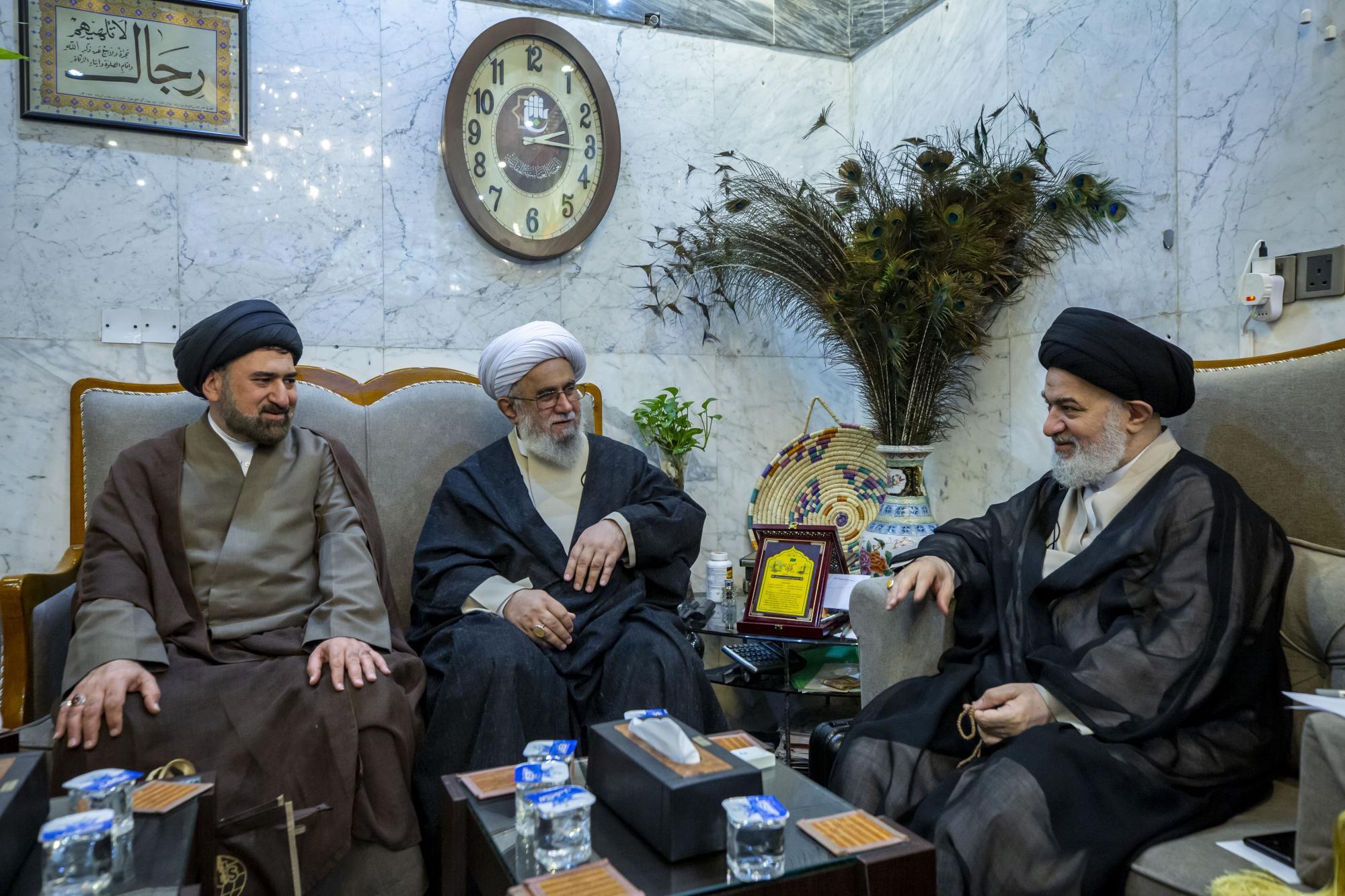 السيد الصافي يؤكد ضرورة تعريف المجتمعات بأهمية مبادئ أهل البيت (ع) السيد الصافي يؤكد ضرورة تعريف المجتمعات بأهمية مبادئ أهل البيت (ع)