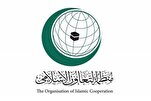 "التعاون الإسلامي" تدين بشدة استمرار العدوان الإسرائيلي على الأراضي السورية