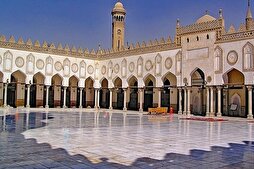 الجامع الأزهر يناقش وجوه الإعجاز في حديث القرآن عن الطير