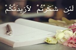 مَنْ لَمْ يَشْكُرِ النِّعَمَ عُوقِبَ بِزَوالِها