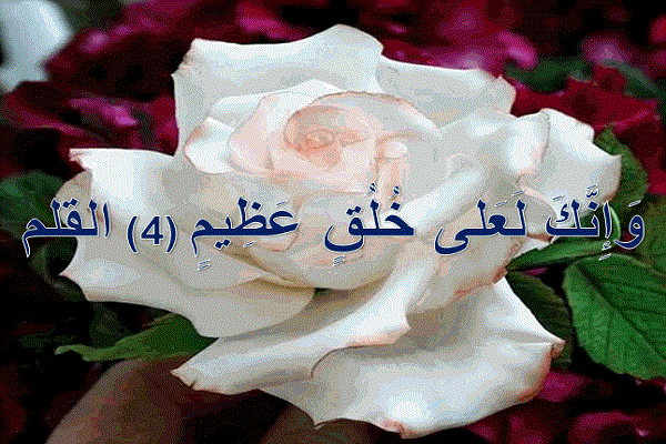الرجوع إلى السيرة والخُلُق النبوي ليس مجرد عقيدة نظرية