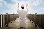 مَنْ اسْتَدامَ قَرْعَ البَابِ وَلَجَّ وَلَجَ