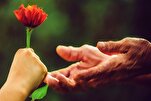 مَنْ دارَى النَّاسَ أَمِنَ مَكْرَهُمْ