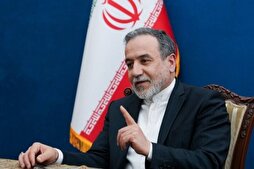 عراقجي يدعو المجتمع الدولي للانضمام لحملة 