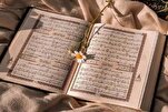 وحدة المسلمين تتکون حول محور الولاية