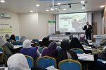 إسطنبول.. دبلومة "نظرية صناعة الإنسان الرسالي في القرآن " تواصل محاضراتها