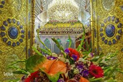 دور الإمام الكاظم (ع) في إرساء البنية التحتية لنظام المرجعية العلمية الشيعية