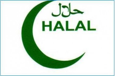 ‘Halal’ qidaları tanıtdıracaq serial çəkiləcək