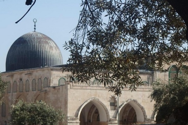 Məsciduləqsanı himayə vacibdir