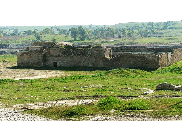 মসুলের বৃদ্ধাশ্রম ধ্বংস করল দায়েশ