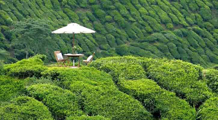 পর্যটনের লক্ষ্য হোক ইবাদত ও জ্ঞানার্জন