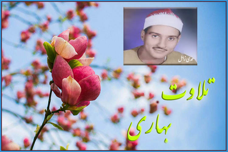 মিশরের ক্বারির সুললিত কণ্ঠে বসন্তের তিলাওয়াত