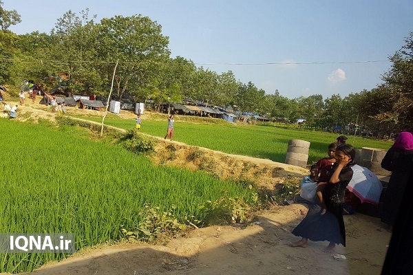 ইকনার ক্যামেরায় রোহিঙ্গা শরণার্থী