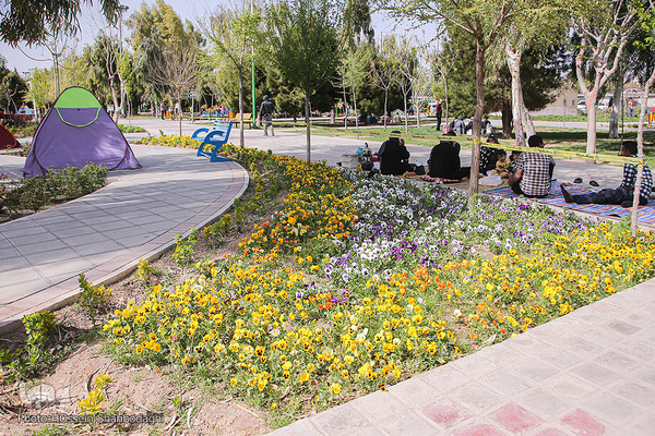 ফার্সি নববর্ষে কোম নগরীর চিত্র
